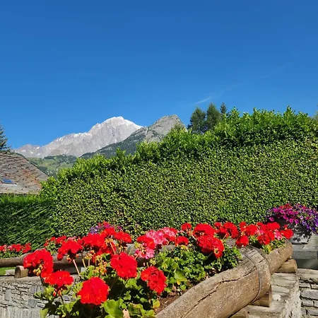 Charming Jonquille Cir 0080 Lejlighed Courmayeur